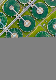 Algal Biorefineries in Circular Economy for Climate Change Resilience