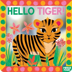 Hello Tiger!: A mirror search-and-find book