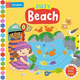 Busy Beach: A Push, Pull, Slide Book Busy Beach: A Push, Pull, Slide Book