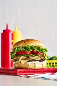 Pinch of Nom Air Fryer Light & Easy: All-New, Time-Saving Meals Under 500 Calories