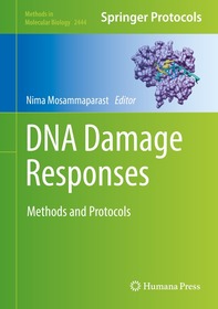 DNA Damage Responses: Methods and Protocols