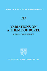 Variations on a Theme of Borel: An Essay on the Role of the Fundamental Group in Rigidity Variations on a Theme of Borel: An Essay on the Role of the Fundamental Group in Rigidity