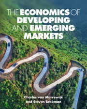 The Economics of Developing and Emerging Markets The Economics of Developing and Emerging Markets