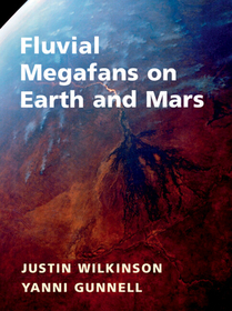 Fluvial Megafans on Earth and Mars