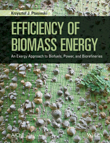 Efficiency of Biomass Energy – An Exergy Approach to Biofuels, Power, and Biorefineries: An Exergy Approach to Biofuels, Power, and Biorefineries