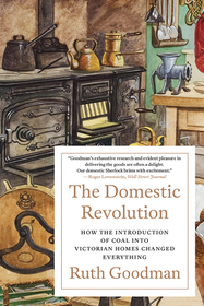 The Domestic Revolution ? How the Introduction of Coal into Victorian Homes Changed Everything: How the Introduction of Coal Into Victorian Homes Changed Everything
