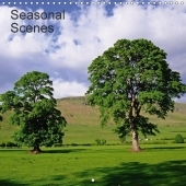 Seasonal Scenes (Wall Calendar 2017 300 × 300 mm Square): Seasonal Scenes (Monthly calendar, 14 pages )