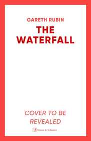The Waterfall: A beguiling and intricate mystery from Sunday Times bestselling author Gareth Rubin