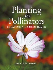 Planting for Pollinators: Creating a Garden Haven Planting for Pollinators: Creating a Garden Haven