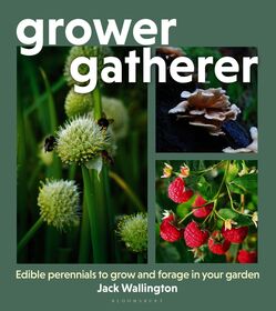 Grower Gatherer: Edible perennials to grow and forage in your garden