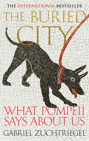 The Buried City: Unearthing the Real Pompeii The Buried City: Unearthing the Real Pompeii