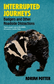Interrupted Journeys: Badgers and Other Roadside Distractions