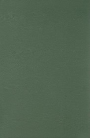 Gaming Lives in the Twenty-First Century: Literate Connections