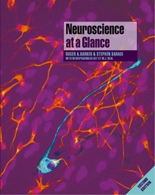 Neuroscience at a Glance: Literacy
