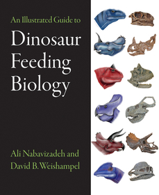 An Illustrated Guide to Dinosaur Feeding Biology An Illustrated Guide to Dinosaur Feeding Biology