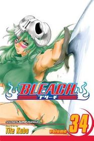 Bleach, Vol. 34: King of the Kill Bleach, Vol. 34: King of the Kill