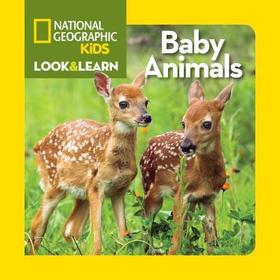 Baby Animals: Baby Animals Baby Animals: Baby Animals