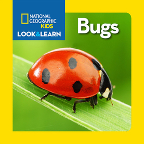 National Geographic Kids Look and Learn: Bugs National Geographic Kids Look and Learn: Bugs