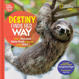 Destiny Finds Her Way: How a Rescued Baby Sloth Learned to Be Wild Destiny Finds Her Way: How a Rescued Baby Sloth Learned to Be Wild