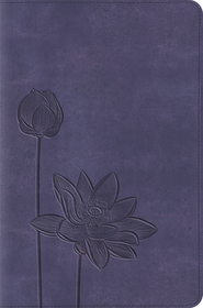 Scripture and Theology: Historical and Systematic Perspectives