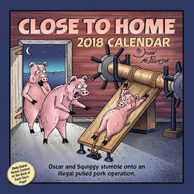 Close to Home 2018 Day-To-Day Calendar