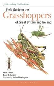 Field Guide to the Grasshoppers and Allies of Great Britain and Ireland: Grasshoppers, Crickets, Earwigs, Cockroaches, Mantids and Stick-insects