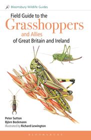 Field Guide to the Grasshoppers and Allies of Great Britain and Ireland: Grasshoppers, Crickets, Earwigs, Cockroaches, Mantids and Stick-insects