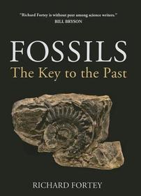 Fossils ? The Key to the Past: The Key to the Past Fossils ? The Key to the Past: The Key to the Past