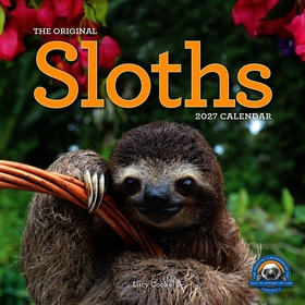 Original Sloths Wall Calendar 2027: The Ultimate Experts at Slowing Down