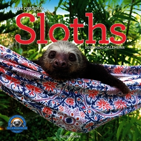 Original Sloths Mini Wall Calendar 2027: Celebrate Life in the Slow Lane