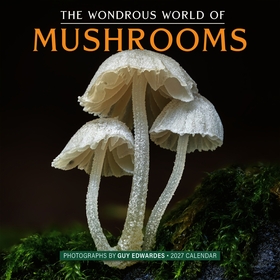 The Wondrous World of Mushrooms Wall Calendar 2027