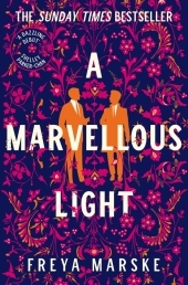 A Marvellous Light: A dazzling, queer romantic fantasy