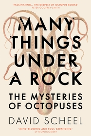 Many Things Under a Rock: The ‘mind-blowing’ book that reveals the mysteries of the octopus, perfect for all science enthusiasts and fans of David Attenborough