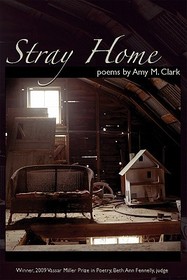 Stray Home Stray Home