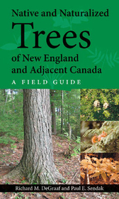 Native and Naturalized Trees of New England and ? A Field Guide: A Field Guide