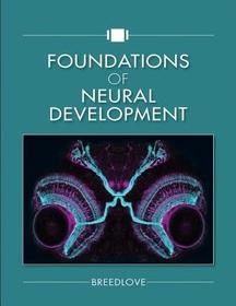 Foundations of Neural Development