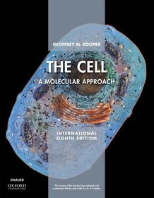 The Cell: A Molecular Approach The Cell: A Molecular Approach