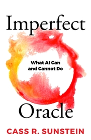Imperfect Oracle – What AI Can and Cannot Do: What AI Can and Cannot Do