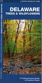Delaware Trees & Wildflowers: A Folding Pocket Guide to Familiar Species
