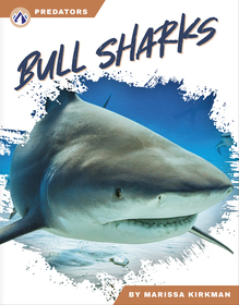 Bull Sharks Bull Sharks