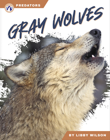 Gray Wolves Gray Wolves