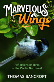 Marvelous Wings: Reflections on Birds of the Pacific Northwest