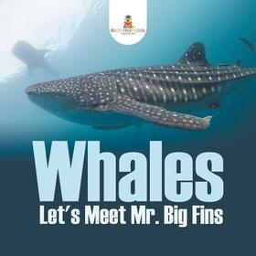 Whales - Let's Meet Mr. Big Fins Whales - Let's Meet Mr. Big Fins