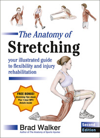 The Anatomy of Stretching: Your Illustrated Guide to Flexibility and Injury Rehabilitation The Anatomy of Stretching: Your Illustrated Guide to Flexibility and Injury Rehabilitation