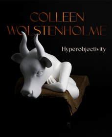 Colleen Wolstenholme: Hyperobjectivity