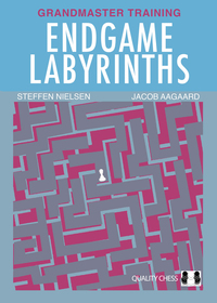 Endgame Labyrinths Endgame Labyrinths