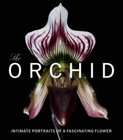 The Orchid: Intimate Portraits of a Fascinating Flower