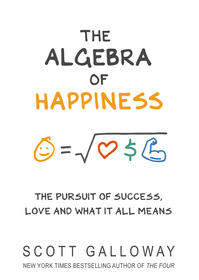 The Algebra of Happiness: The pursuit of success, love and what it all means