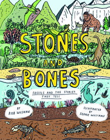 Stones and Bones: Fossils and the stories they tell