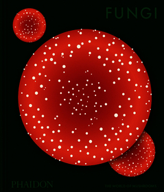 Fungi: The World of Mushrooms